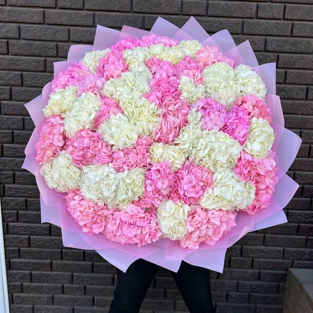 45 Розовых Гортензий